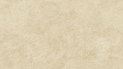 Tribeca VP 617 02
